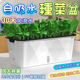 草屯出貨🏆 自吸水種菜盆 自動吸水花盆 超大號種植箱 蓄水花盆 懶人花盆 免澆水花盆 長型花盆 棉繩自吸水好養活