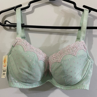 曼黛瑪璉灰藻綠/蜜粉橘/牛仔藍內衣70D/70E/75D/75E/80D/80E