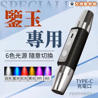 【🔥隔日到貨📢可照貓蘚】六光源手電筒 玉石手電筒 強光充電 鑑別翡翠驗鈔珠寶 365nm紫光燈 6光源翡翠燈 驗蜜蠟鑒寶
