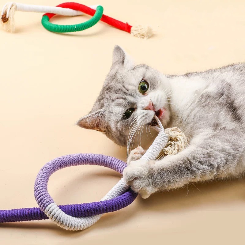 貓咪啃咬繩 貓咪啃咬 咬咬繩 貓咬繩 貓咪咬咬繩 貓磨牙 貓咪磨牙 貓咬 貓咪咬咬棒 貓貓玩具 貓玩耍 貓玩具