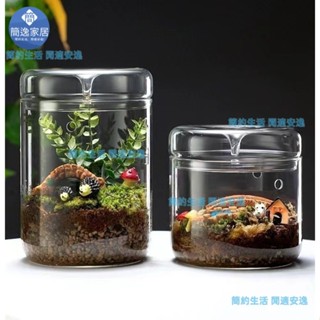 🚀桃園出貨🚀微型景觀花瓶 透明展示玻璃容器 用於陽臺集露器 高硼矽玻璃集露瓶 生態瓶植物微景觀 辦公室桌面盆栽