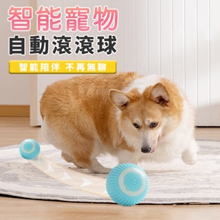 臺灣現貨（隔日出貨）【ENNE】USB充電智慧寵物自動滾滾球 彈彈球 滾動球 陪玩球 玩具球 寵物球 逗貓球