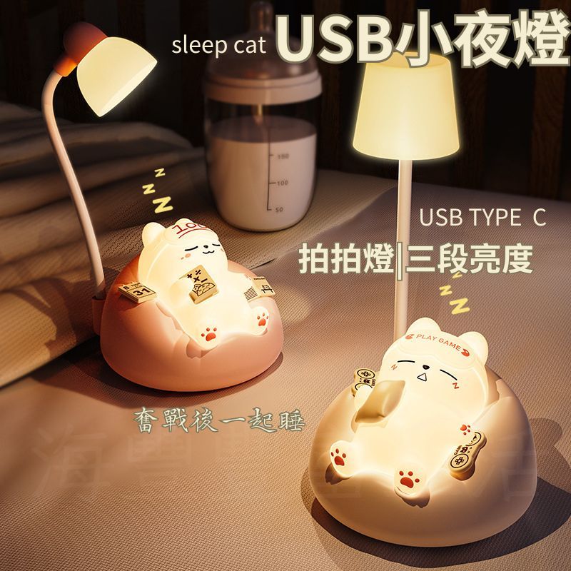 {台北出貨} USB睡貓氛圍燈小夜燈 軟矽膠睡眠燈 三段亮度 TYPE C 充電 矽膠材質 交換禮物 生日禮物 戶外露營