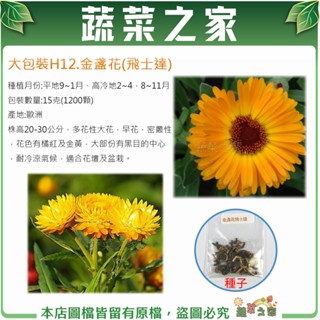 【蔬菜之家滿額免運】大包裝H12.飛士達金盞花(株高20-30公分)種子15克(1200顆)