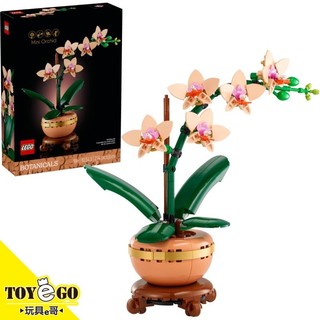 樂高LEGO ICONS 迷你蘭花 玩具e哥 10343