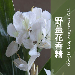 【馥靖精油】野薑花香精 Ginger Lily Fragrance Oil