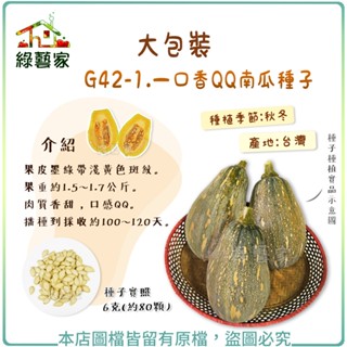 【綠藝家】大包裝G42-1.一口香QQ南瓜種子6克(約80顆) // 果皮墨綠帶淺黃色斑紋。肉質香甜，口感