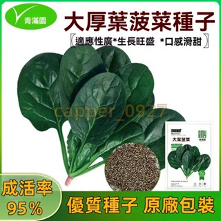 官方自營【原廠包裝】大葉菠菜種子四季蔬菜秋冬籽種陽臺種籽耐熱菜種盆栽波菜約1000粒 菠菜種子大全