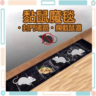 🚀火速出貨-臺灣現貨🚀 滅鼠魔毯 120cm 黏鼠魔毯 捕鼠魔毯 抓老鼠神器 強力黏鼠板 黏鼠膠 老鼠板 捕鼠 黏