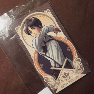 💮瀾漫💮全新 現貨 ENSKY限定進擊的巨人艾連塔羅牌