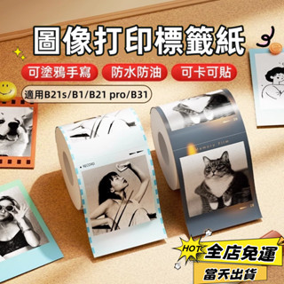 🚀精臣B21 Pro 專用標籤貼紙 照片列印紙 影象圖片相片相紙 自印小卡 手賬 防水簡筆畫 可手寫卡紙