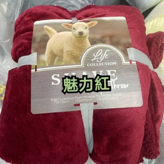 （出清價）🎉冬季保暖法蘭絨羊羔絨雙面毯 法蘭絨/羊羔絨 雙人 毛毯 被子∼可挑色