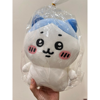現貨 giya shop韓國🇰🇷吉伊卡哇Chiikawa小可愛小八25cm娃娃