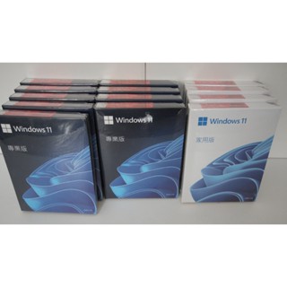 全新 未拆封 代理商 [議價不回] WINDOWS 11 繁中 可轉移授權 彩盒 家用版 專業版 win11 附USB