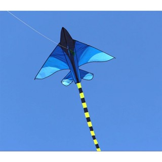 佳佳玩具 --- 新款 飛機 造型 風箏 造型風箏 捲線器 草原 大風箏 【YF20001】