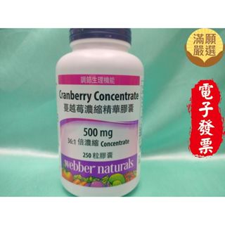 【滿願嚴選】Webber Naturals 蔓越莓濃縮精華膠囊 250粒 500mg 蔓越莓 濃縮 精華 膠囊