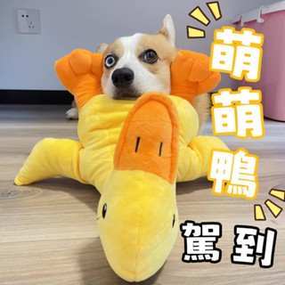 【驢子 🇹🇼臺灣現貨】狗狗玩具 寵物發聲玩具 可愛造型鴨玩具 狗狗抱枕 咬咬玩具 毛絨磨牙玩具 寵物互動 耐咬玩偶