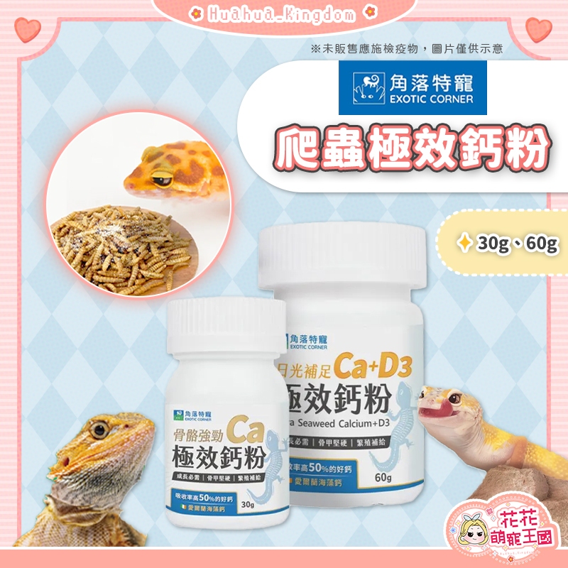 花花萌寵王國🎀 EXOTIC CORNER 角落特寵 爬蟲極效鈣粉 頂級海藻鈣 D3 爬蟲鈣粉 爬蟲類營養品 陸龜 守宮