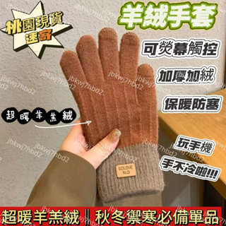 爆款特低價！【加厚觸屏手套】冬季保暖手套女ins網紅款羊絨防寒保暖騎車通用 羊毛手套 加厚手套 觸控手套 保暖手套 女生