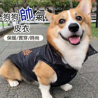 【臺灣現貨】狗狗皮衣 寵物皮衣 寵物皮外套 鋪棉保暖衣服 仿舊皮革 鉚釘 卯釘 柯基 邊境 米克斯 中型犬 福媽寵物