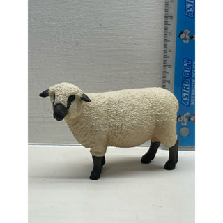 德國 Schleich 史萊奇 思樂 什羅普郡羊 薩羅普羊 動物模型 二手拆擺 特價出清
