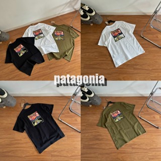 U.S.A🇺🇸連線 Patagonia 短袖 火山圖案 巴塔哥尼亞短袖 寬鬆T恤 戶外 情侶 男女同款