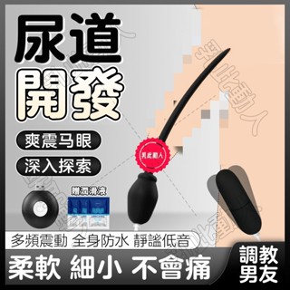 馬眼棒 震動馬眼棒 電動馬眼棒 矽膠馬眼棒 馬眼跳蛋 雙馬眼棒 尿道堵 尿道棒插棒 尿道開發 自慰器男用 跳蛋