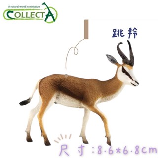 CollectA 英國高擬真模型 跳羚 模擬 野生動物 動物模型 公仔