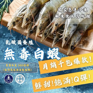 臺灣無毒蝦 白蝦 活凍生白蝦 冷凍生白蝦 臺灣養殖蝦 高雄養殖蝦 SGS檢驗透過 500g