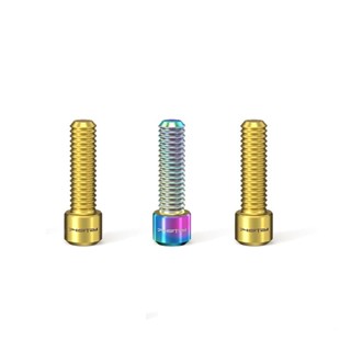 RISK TC4鈦合金螺絲 M4x13.5mm／前變、後變限位螺絲 M4螺牙 微調螺絲 前撥後撥限位螺絲