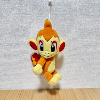 寶可夢 小火焰猴 娃娃/布偶（無吊牌） 神奇寶貝 Pokémon