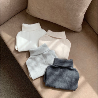 OOPET ♡ 現貨｜韓國 高領螺紋內搭上衣 S-XL｜韓國品牌 韓國寵物服飾 寵物衣服 狗狗衣服 貓咪衣服