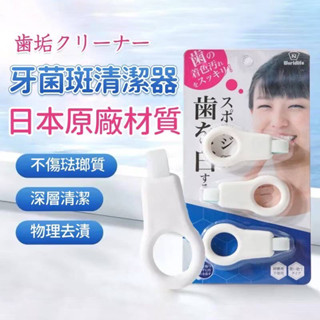 現貨秒發牙齒清潔 潔牙 牙齒橡皮擦日本美齒潔牙擦