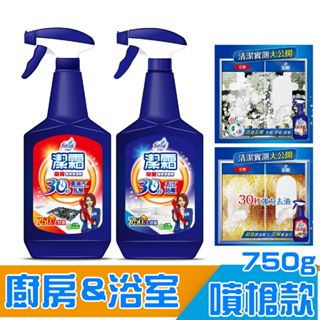 潔霜-S 廚房 浴室 強效清潔劑 噴槍750g 綿密泡泡 99.9抗菌 打掃 去汙