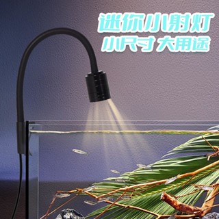 變色調光【新莊/五股/青島水族】水族夾燈 LED USB 南美燈 LED夾燈 造景燈 氣氛燈 投射燈 南美燈可調光