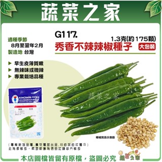 【蔬菜之滿額免運】 大包裝G117.秀香不辣辣椒種子1.3克(約175顆)早生，皮薄質嫩，無辣味或微辣 專業栽培品種