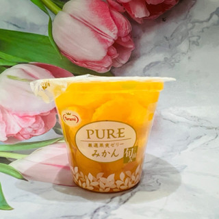 ［大貨臺日］日本 Tarami 達樂美 PURE 果實果凍 果肉果凍 270g 柑橘風味/綜合水果風味 多款供選