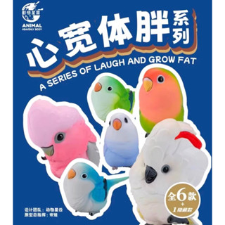 動物星球 心寬體胖 鸚鵡篇 可挑款 和尚鸚鵡 牡丹鸚鵡 鳳頭鸚鵡 盲盒 盒玩 鳥類 鸚鵡公仔 確認款