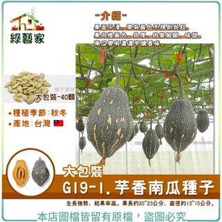 【綠藝家】大包裝G19-1.芋香南瓜種子 40顆 //一代交配，生長強勢，結果率高。果長約20~23公分