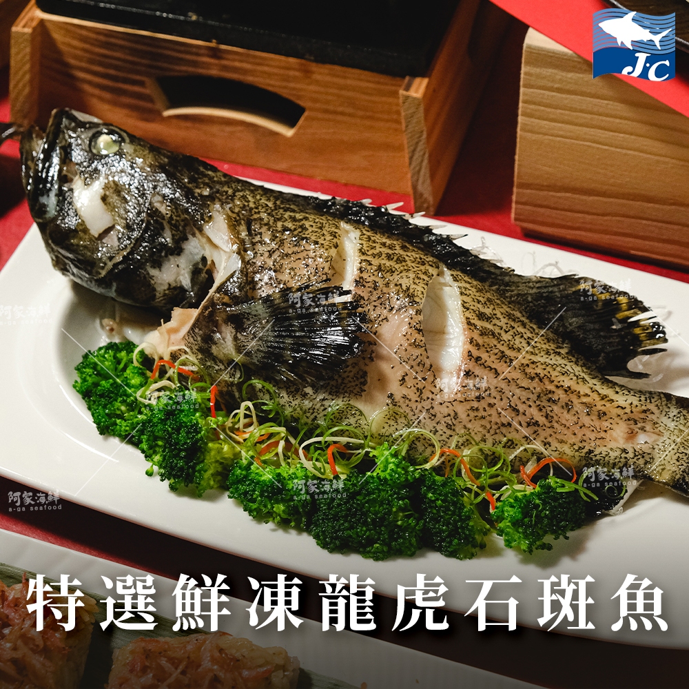 【阿家海鮮】鮮凍龍虎斑/石斑魚-(500g±10%/尾)/三去（去鱗、去鰓、去內臟）