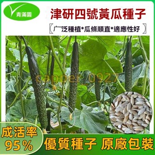 官方自營【原廠包裝】津研四號刺黃瓜種子產春季四季播種蔬菜水果黃瓜陽臺庭院盆栽 黃瓜種子大全