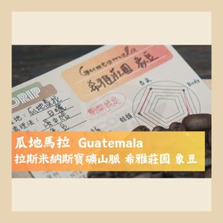【黑金沖煮賽冠軍🏆】KAJA 咖家｜【日曬】瓜地馬拉 拉斯米納斯寶礦山脈 希雅莊園 象豆 淺中焙 手沖咖啡 精品咖啡豆