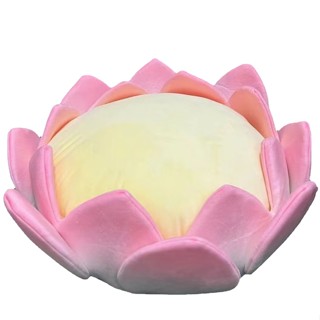 臺灣現貨（隔日出貨）【三浦太郎】蓮蓮好運 蓮花坐墊 B0175-L 靠墊 趴睡枕 寵物睡墊