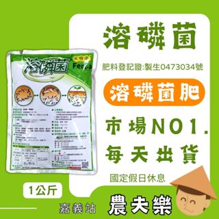 (現貨 )溶磷菌 菌專家 最新製造日期 1公斤 微生菌肥料 園藝