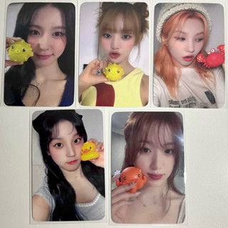 （G)I-DLE SW2.0官方特典 海洋生物薇娟米妮minnie小娟雨琦舒華小卡 迷你七輯”I SAWY”