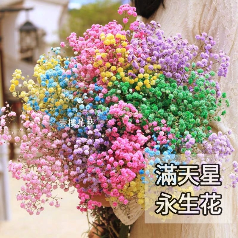 滿天星永生花情人節乾燥花束花材 台灣現貨出貨 永生花材浮游花情人節花束花禮花材乾燥花捧花拍照 壹樓花藝雜貨
