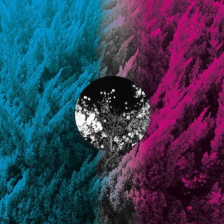 二手電子音樂黑膠唱片 (House, Deep House, Tech House, Minimal) 第一區