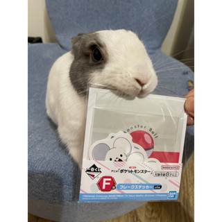 寶可夢 地平線 裂空座 F賞 皮卡丘 扭蛋 盲盒 生日禮物 隱藏版 夾娃娃 春酒抽尾牙抽 巨無霸 一番賞 便宜 二手全新
