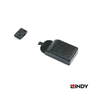 LINDY林帝 USB Type-C 資訊安全鎖 (TW00255)