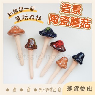 🌰菜丁🌰【台灣出貨】 造景陶瓷蘑菇 倉鼠玩具 倉鼠籠佈置 倉鼠陶瓷窩 模擬蘑菇 造景花草 黃金鼠 熊鼠 三線鼠 布丁鼠